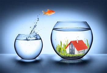 fishbowl jumping fishbowl jumping